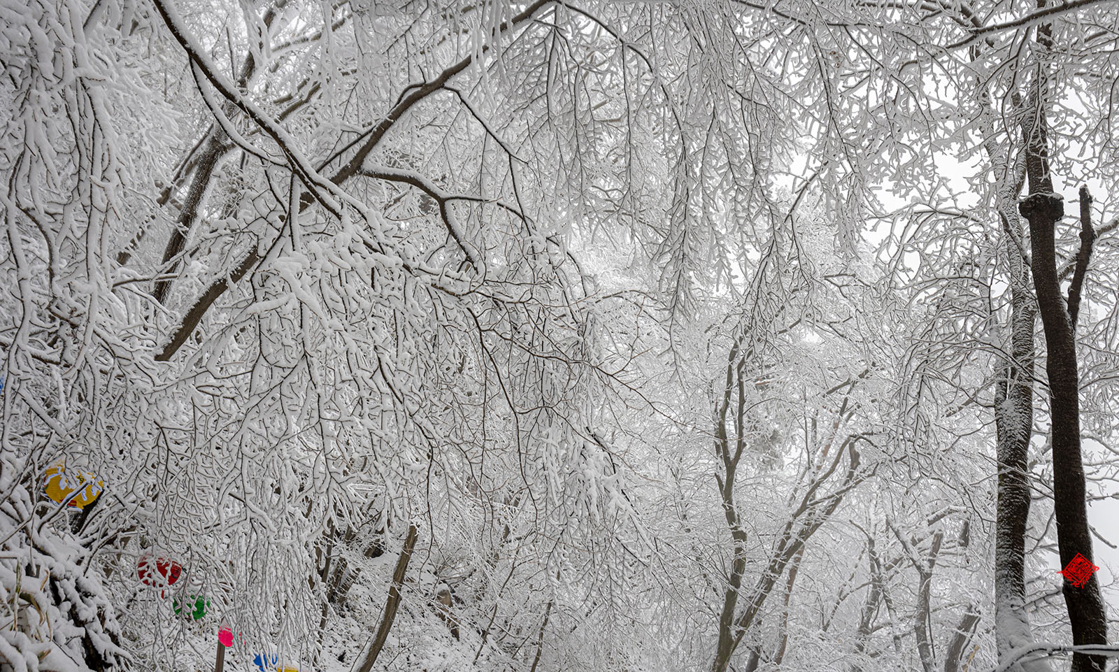 PHOTO BY jps | Canon EOS R6 | 2024:02:23 13:09:12 | ISO-100 | 1/40 sec | f 7.1 | 35 mm | EV=0.3 | ● WIDTH:1600 pixels  HEIGHT:961 pixels