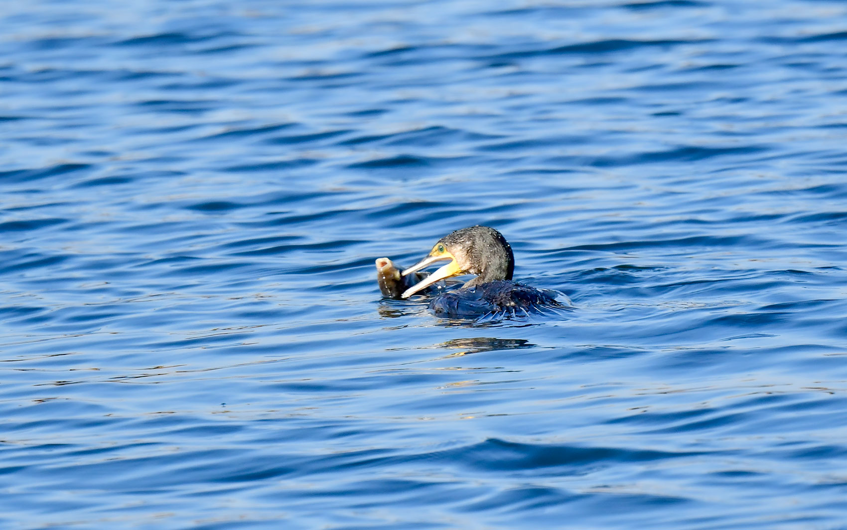 | PHOTO BY : 천지연  |