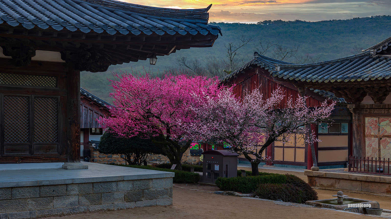 PHOTO BY jps | Canon EOS R6 | 2024:02:26 07:13:26 | ISO-100 | 90/1 sec | f 10 | 50 mm | EV=0 | ● WIDTH:1600 pixels  HEIGHT:898 pixels