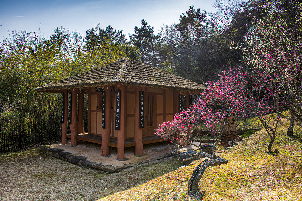 PHOTO BY  | NIKON D850 | 2024:02:26 15:17:30 | ISO-200 | 1/200 sec | f 8 | 28 mm | EV=0 | ● WIDTH:1200 pixels  HEIGHT:800 pixels