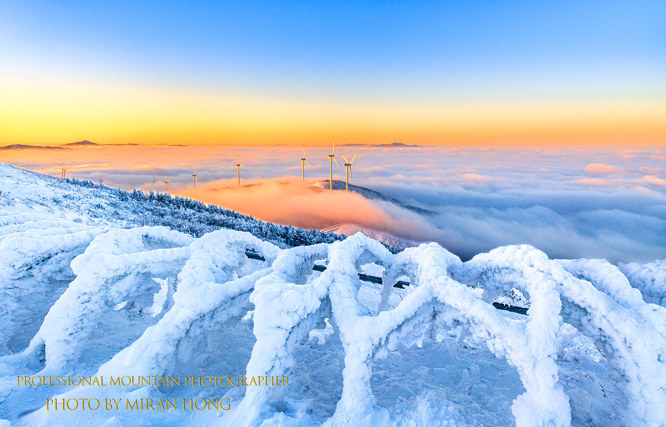 PHOTO BY Hong Mi Ran | NIKON D850 | 2024:01:27 07:45:51 | ISO-200 | 1/200 sec | f 13 | 22 mm | EV=0 | ● WIDTH:1366 pixels  HEIGHT:876 pixels