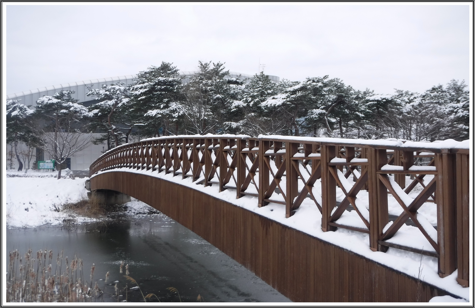 PHOTO BY  | FinePix XP120 XP121 XP125 | 2024:02:23 23:52:51 | ISO-100 | 1/420 sec | f 4.4 | 7.7 mm | EV=0 | ● WIDTH:4608 pixels  HEIGHT:3456 pixels