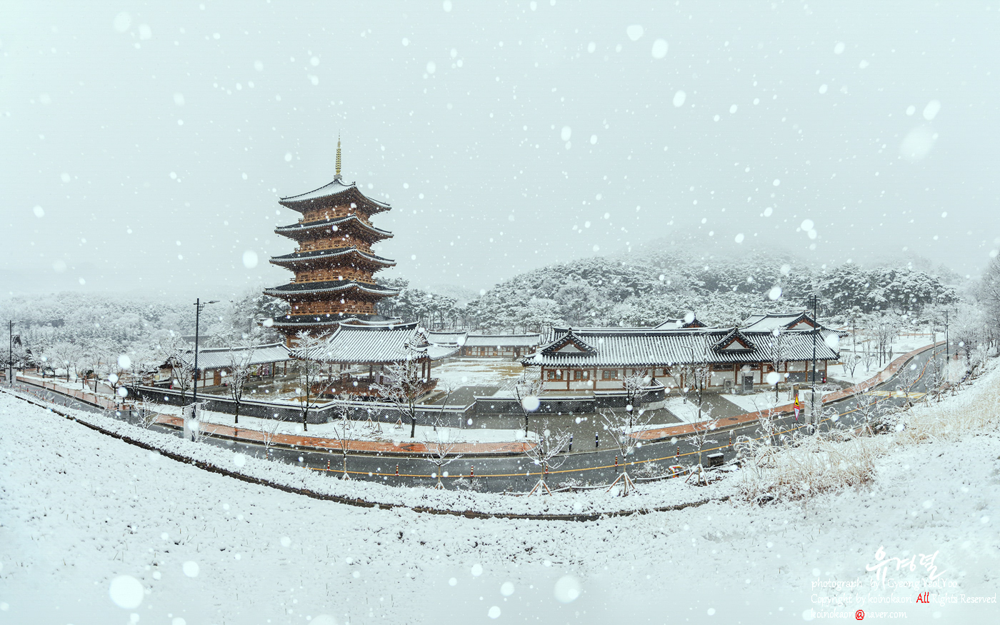 | PHOTO BY : 향기/유경렬  |