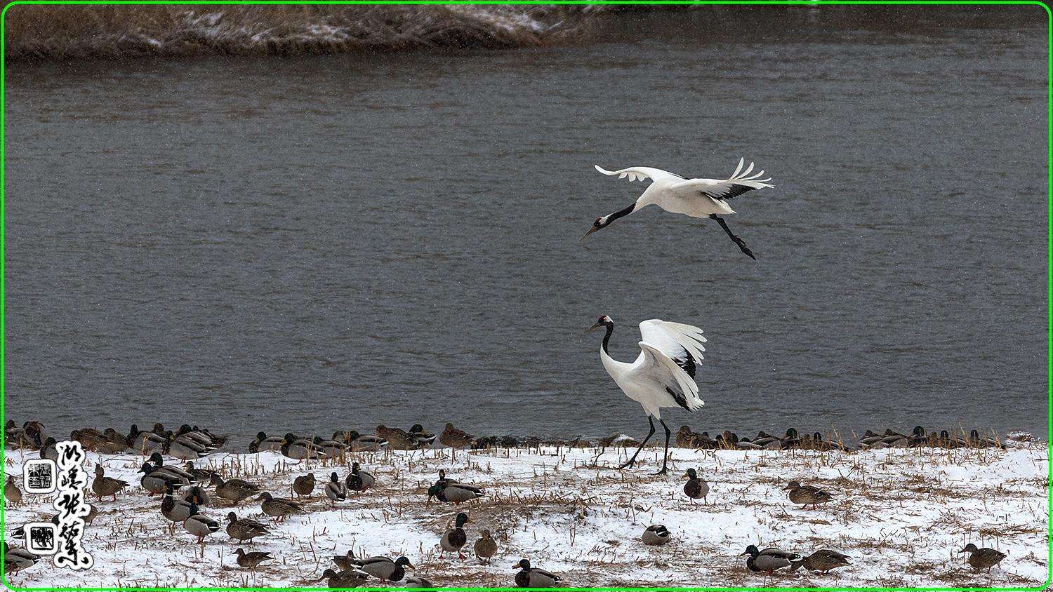 | PHOTO BY : 湖 隱 장우동  |