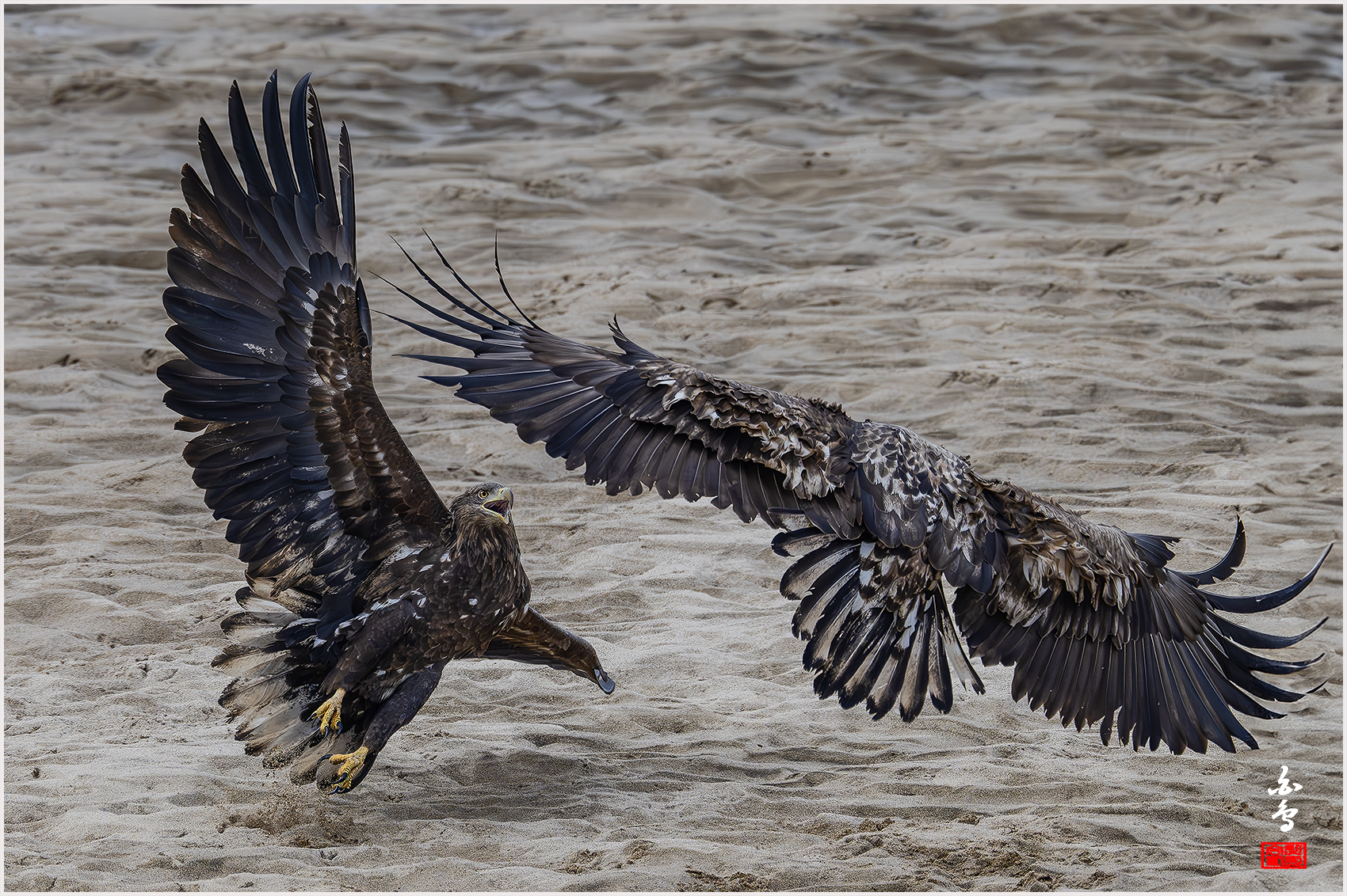 PHOTO BY  | NIKON Z 9 | 2024:02:27 12:43:28 | ISO-1600 | 1/4000 sec | f 7.1 | 840 mm | EV=0 | ● WIDTH:1700 pixels  HEIGHT:1132 pixels