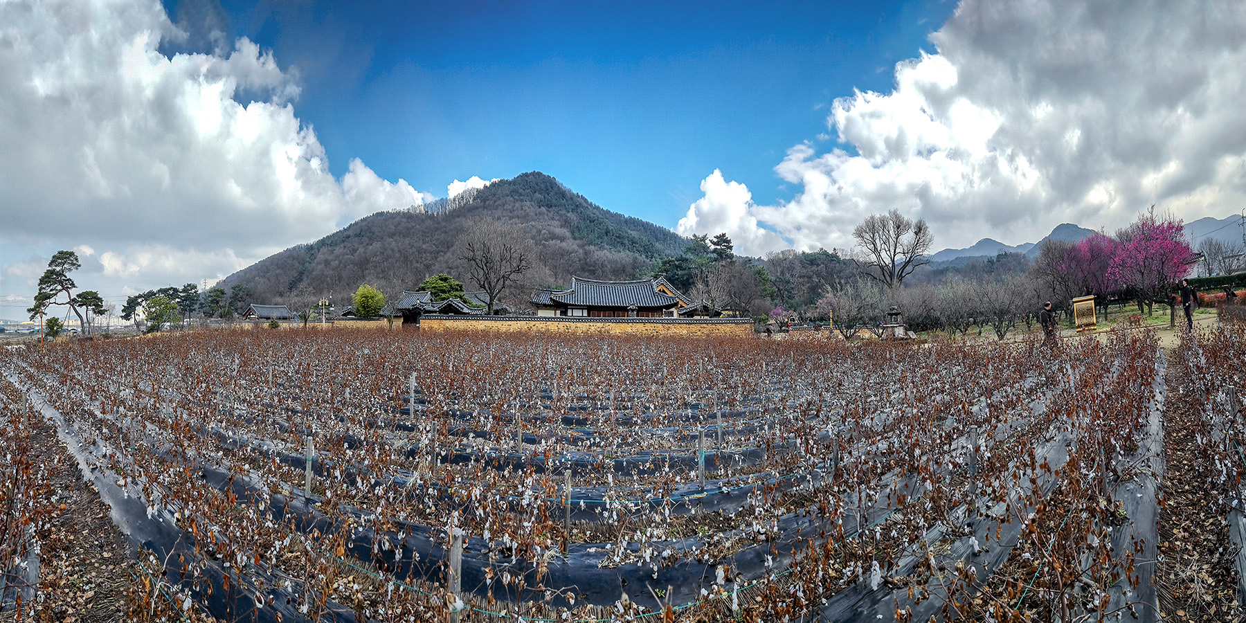 PHOTO BY  | SM-G998N | 2024:02:26 11:01:15 | ISO- |  |  | 6.7 mm | EV=0 | ● WIDTH:1800 pixels  HEIGHT:900 pixels