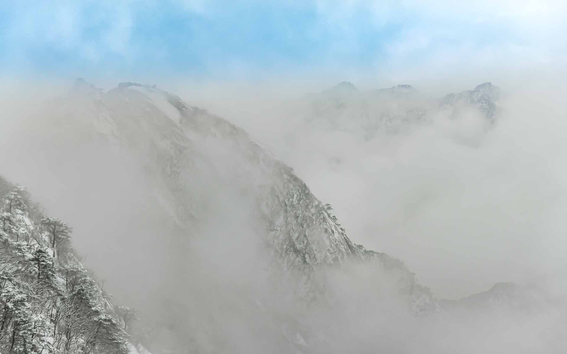 PHOTO BY Jae Ik Lee | NIKON D850 | 2024:02:07 09:46:34 | ISO-200 | 1/100 sec | f 5.6 | 50 mm | EV=0.7 | ● WIDTH:  HEIGHT: