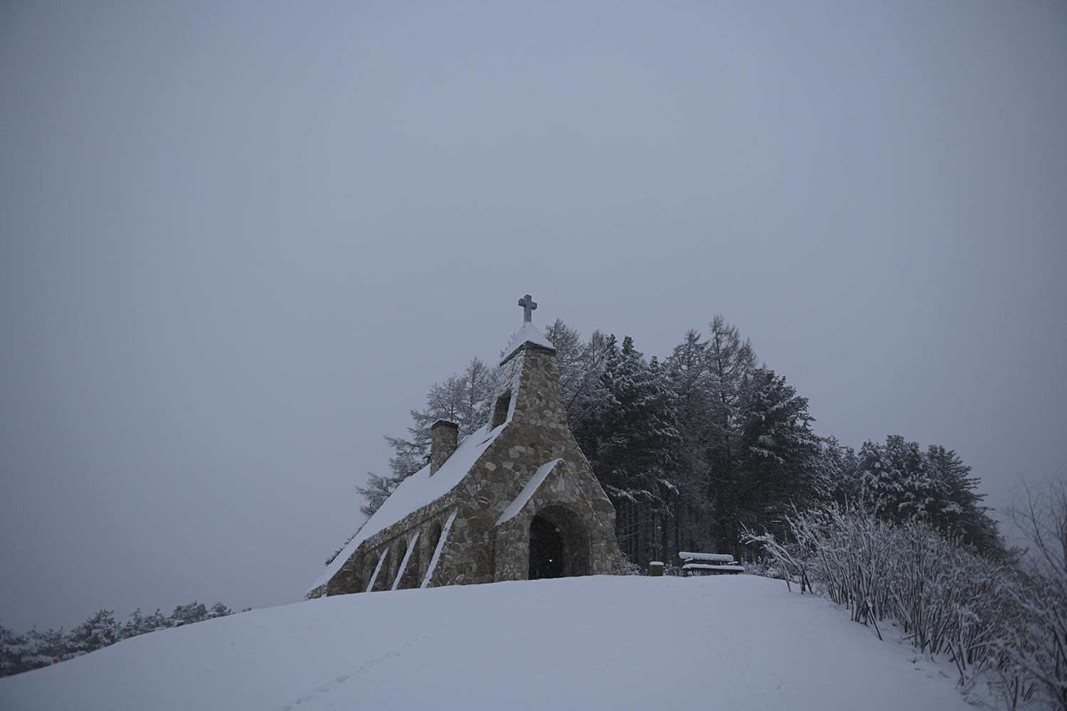 PHOTO BY  | NIKON Z 7 | 2024:02:21 08:04:56 | ISO-100 | 1/1000 sec | f 2.8 | 26 mm | EV=0 | ● WIDTH:1500 pixels  HEIGHT:1000 pixels