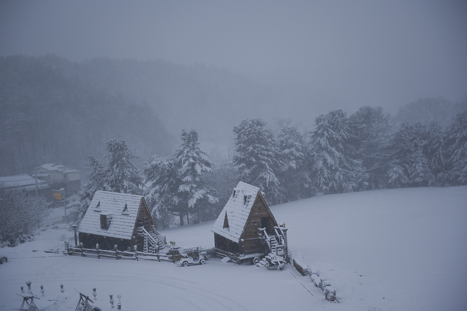 PHOTO BY  | NIKON Z 7 | 2024:02:21 08:16:07 | ISO-100 | 1/1600 sec | f 2.8 | 50 mm | EV=0 | ● WIDTH:1500 pixels  HEIGHT:1000 pixels