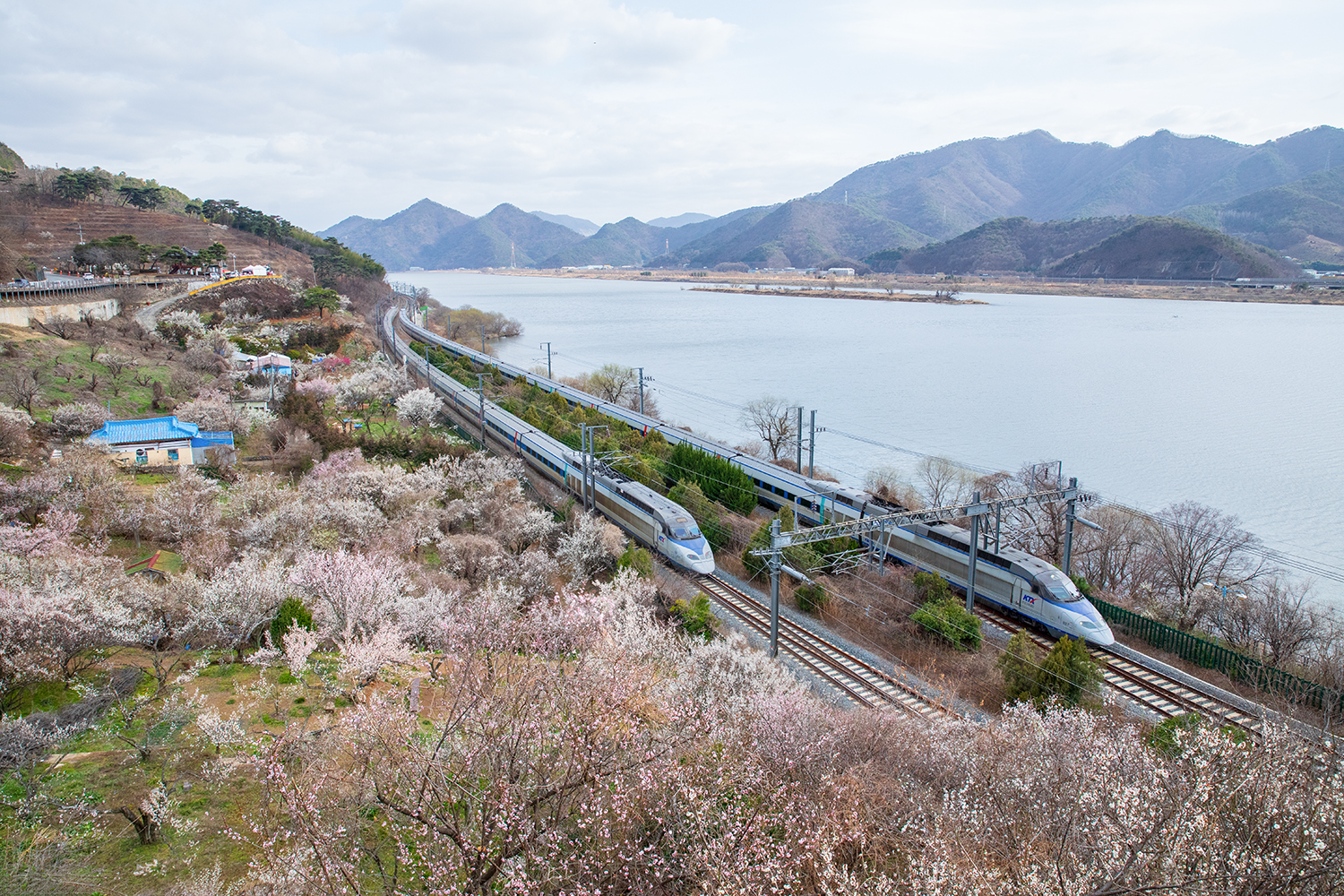 PHOTO BY  | Canon EOS 5D Mark IV | 2024:02:27 15:56:13 | ISO-800 | 1/800 sec | f 8 | 24 mm | EV=0 | ● WIDTH:1500 pixels  HEIGHT:1000 pixels