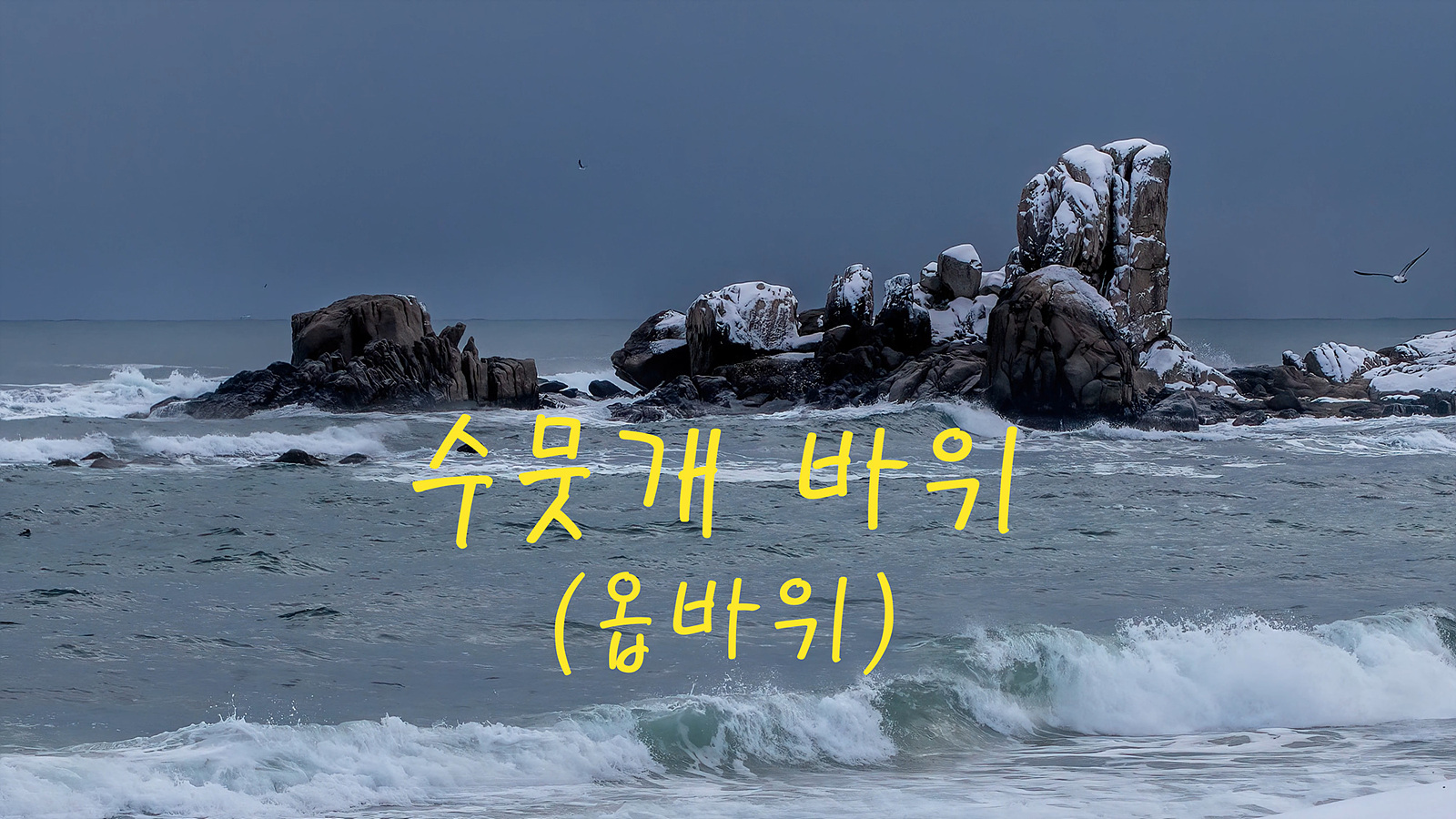   | PHOTO BY : 홀스타인/박무길  |