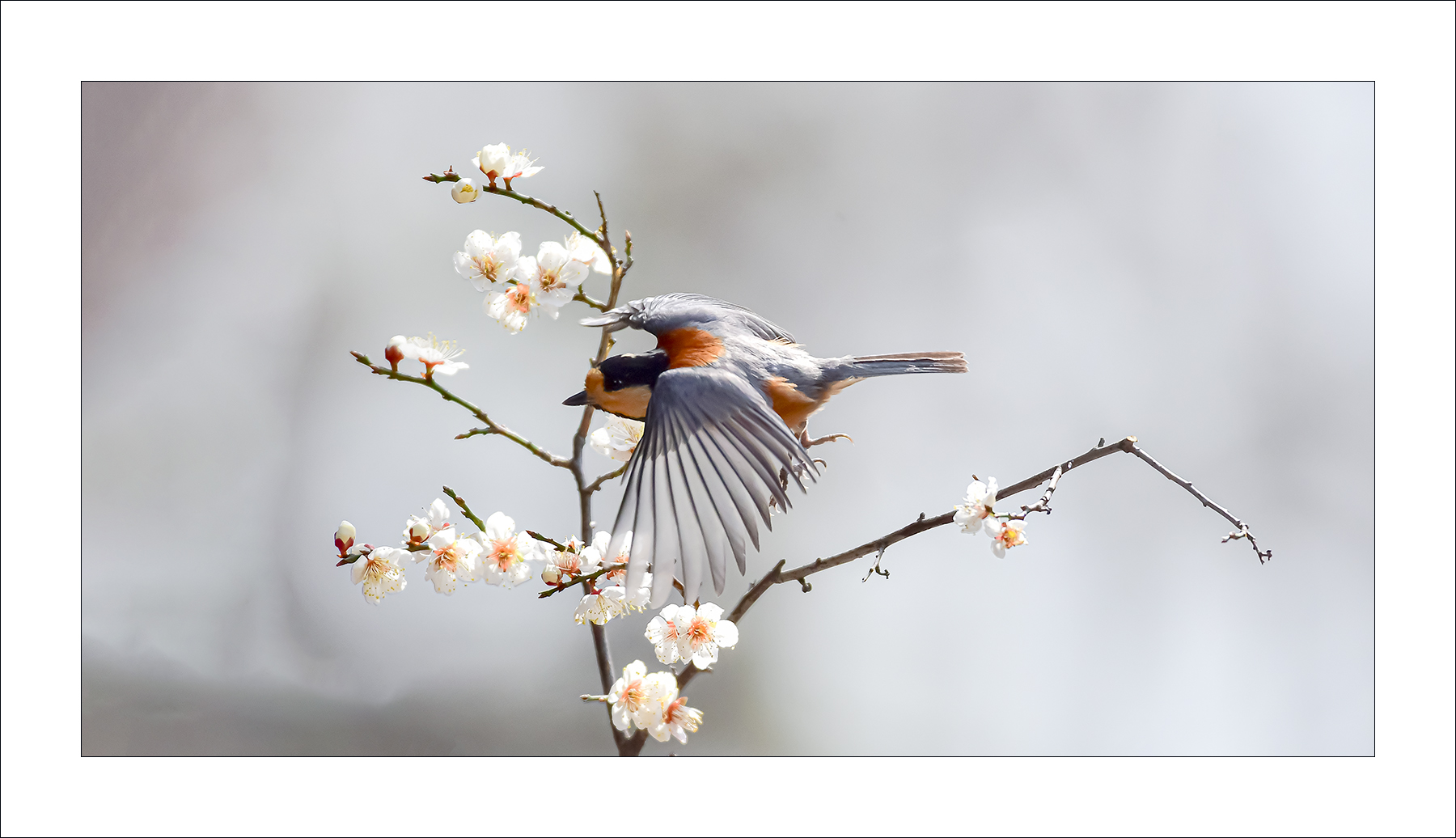   | PHOTO BY : 삿갓/정봉식  |