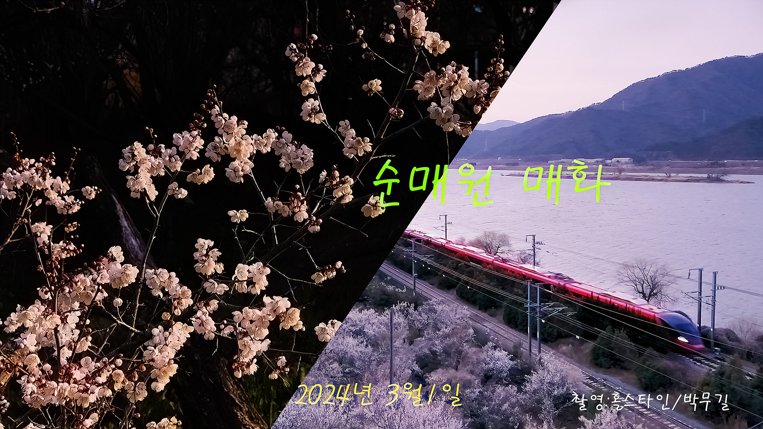   | PHOTO BY : 홀스타인/박무길  |