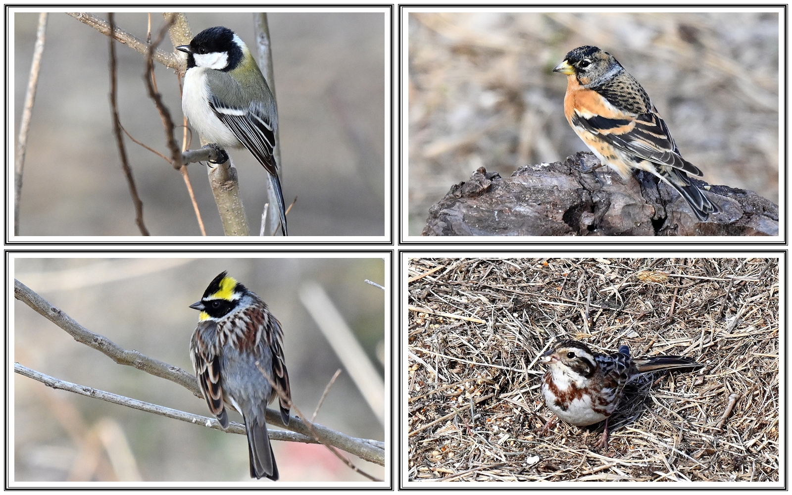 | PHOTO BY : 청산이종원  |