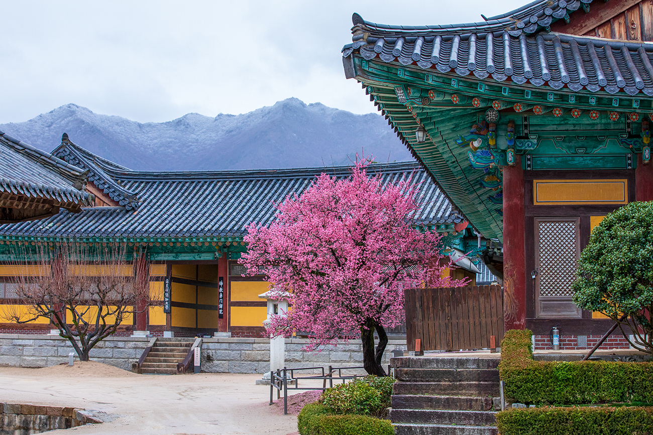 PHOTO BY  | Canon EOS 5D Mark IV | 2024:02:22 08:48:31 | ISO-640 | 1/125 sec | f 8 | 70 mm | EV=0 | ● WIDTH:1300 pixels  HEIGHT:867 pixels