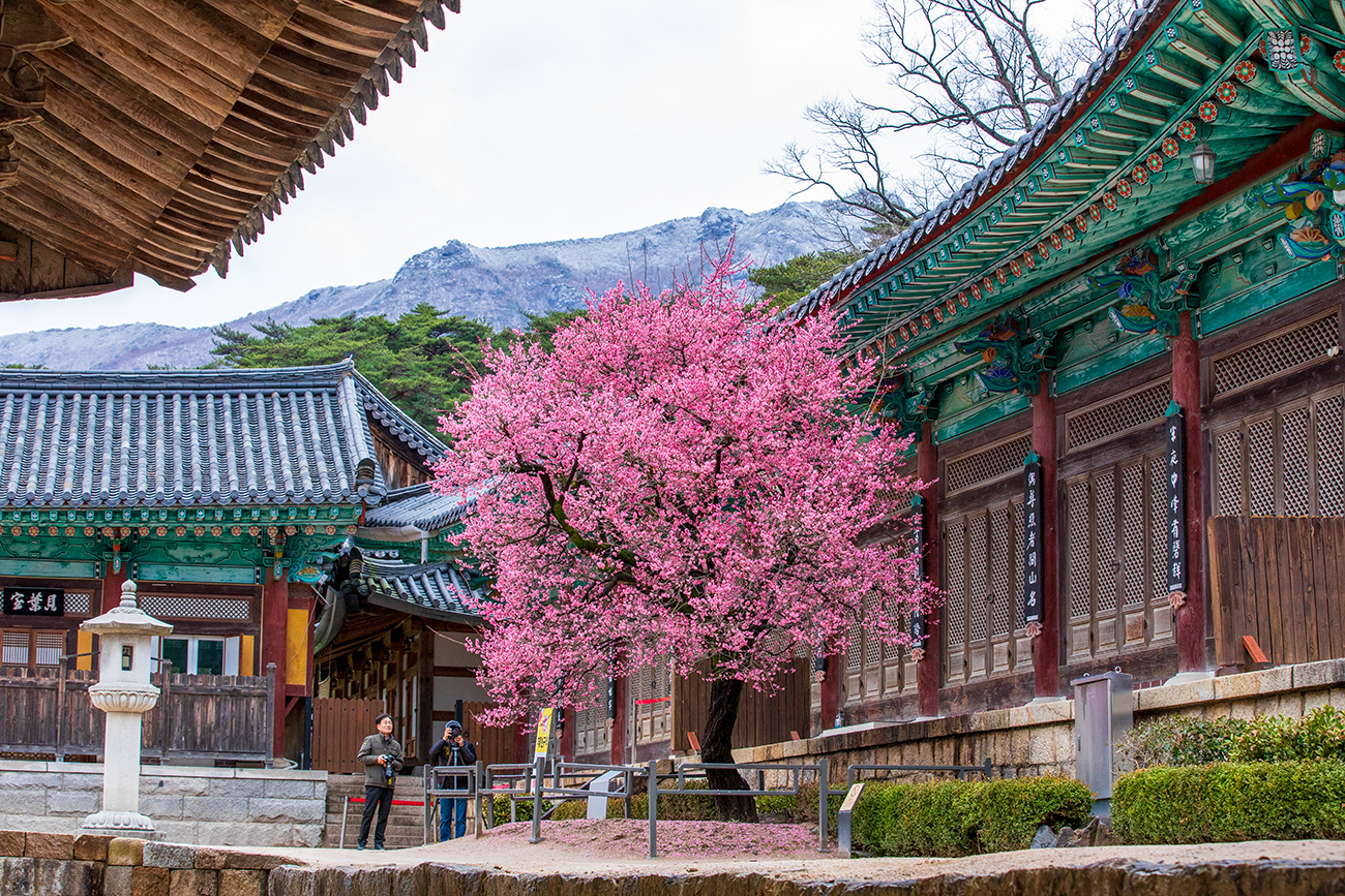 PHOTO BY  | Canon EOS 5D Mark IV | 2024:02:22 10:17:21 | ISO-800 | 1/250 sec | f 8 | 70 mm | EV=0 | ● WIDTH:1300 pixels  HEIGHT:867 pixels