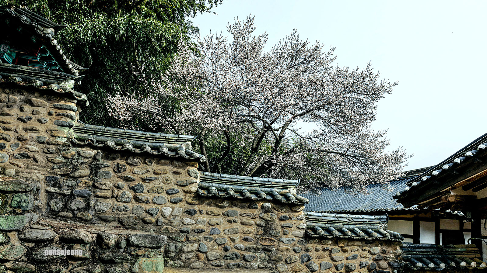 PHOTO BY jps | Canon EOS R6 | 2024:03:04 13:46:37 | ISO-400 | 1/200 sec | f 13 | 26 mm | EV=0 | ● WIDTH:1600 pixels  HEIGHT:898 pixels