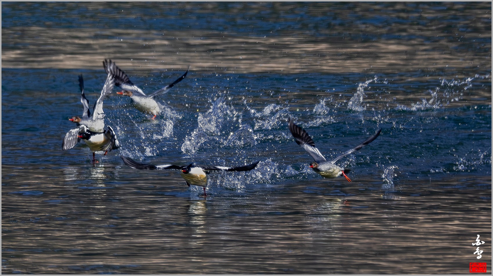 PHOTO BY  | NIKON Z 9 | 2024:03:02 14:52:29 | ISO-1100 | 1/2000 sec | f 8 | 1176 mm | EV=0 | ● WIDTH:0 pixels  HEIGHT:0 pixels