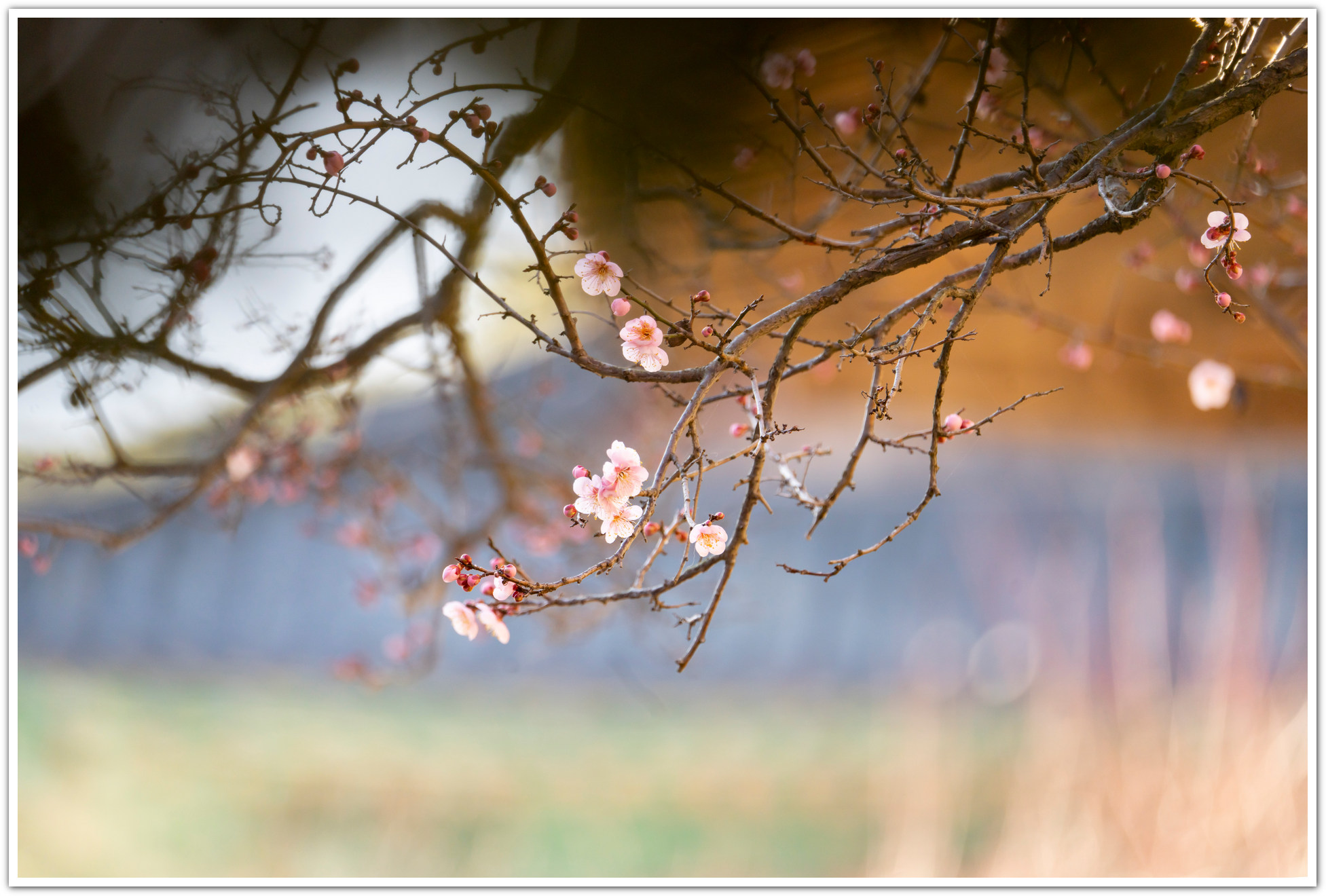 PHOTO BY Sil Sang Kim | ILCE-7RM4 | 2024:02:17 03:46:34 | ISO-250 | 1/250 sec | f 6.3 | 349 mm | EV=0 | ● WIDTH:1953 pixels  HEIGHT:1320 pixels