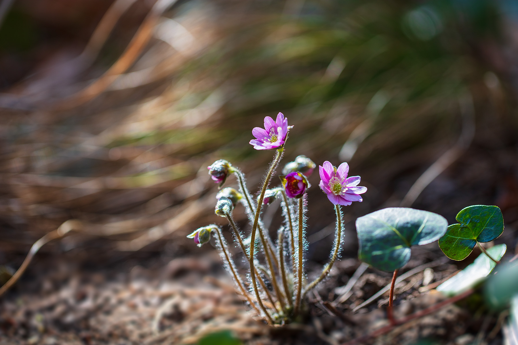   | PHOTO BY : 발전 박용식  |