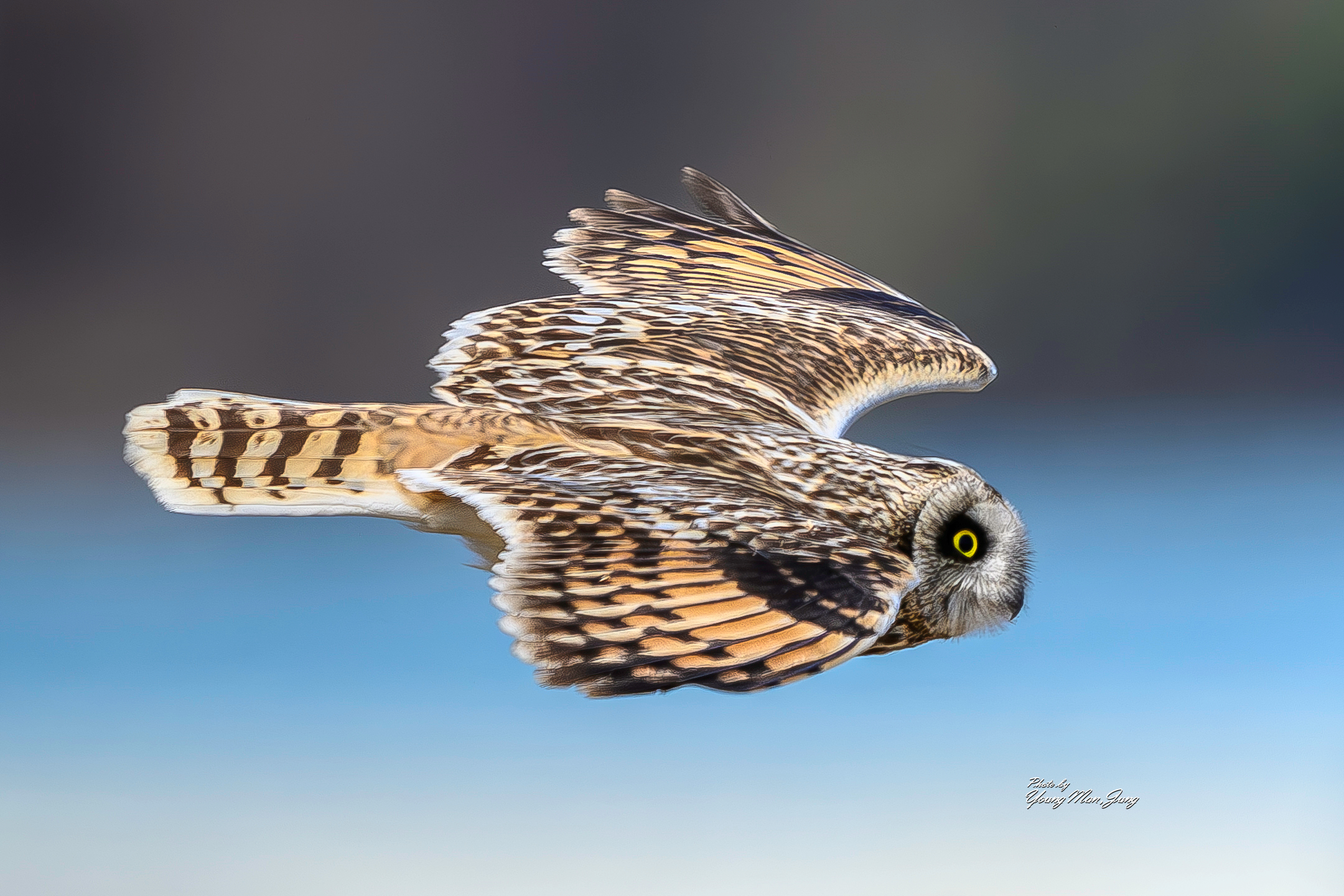   | PHOTO BY : 카파/정영만  |