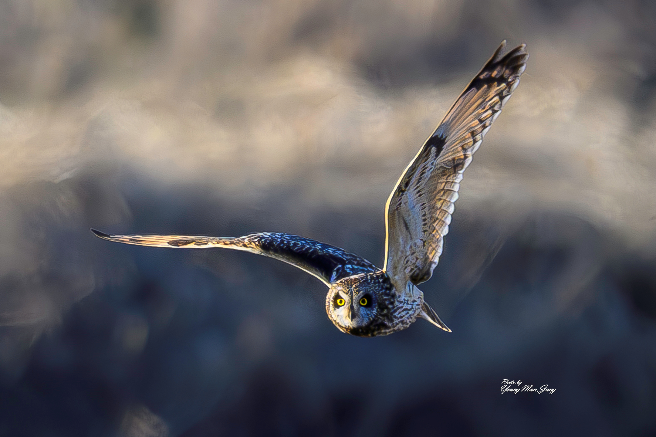   | PHOTO BY : 카파/정영만  |