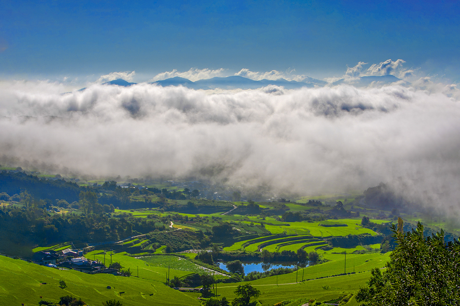 PHOTO BY  | CanonCanon  |  | ISO- |  |  |  | EV=0 | ● WIDTH:  HEIGHT: