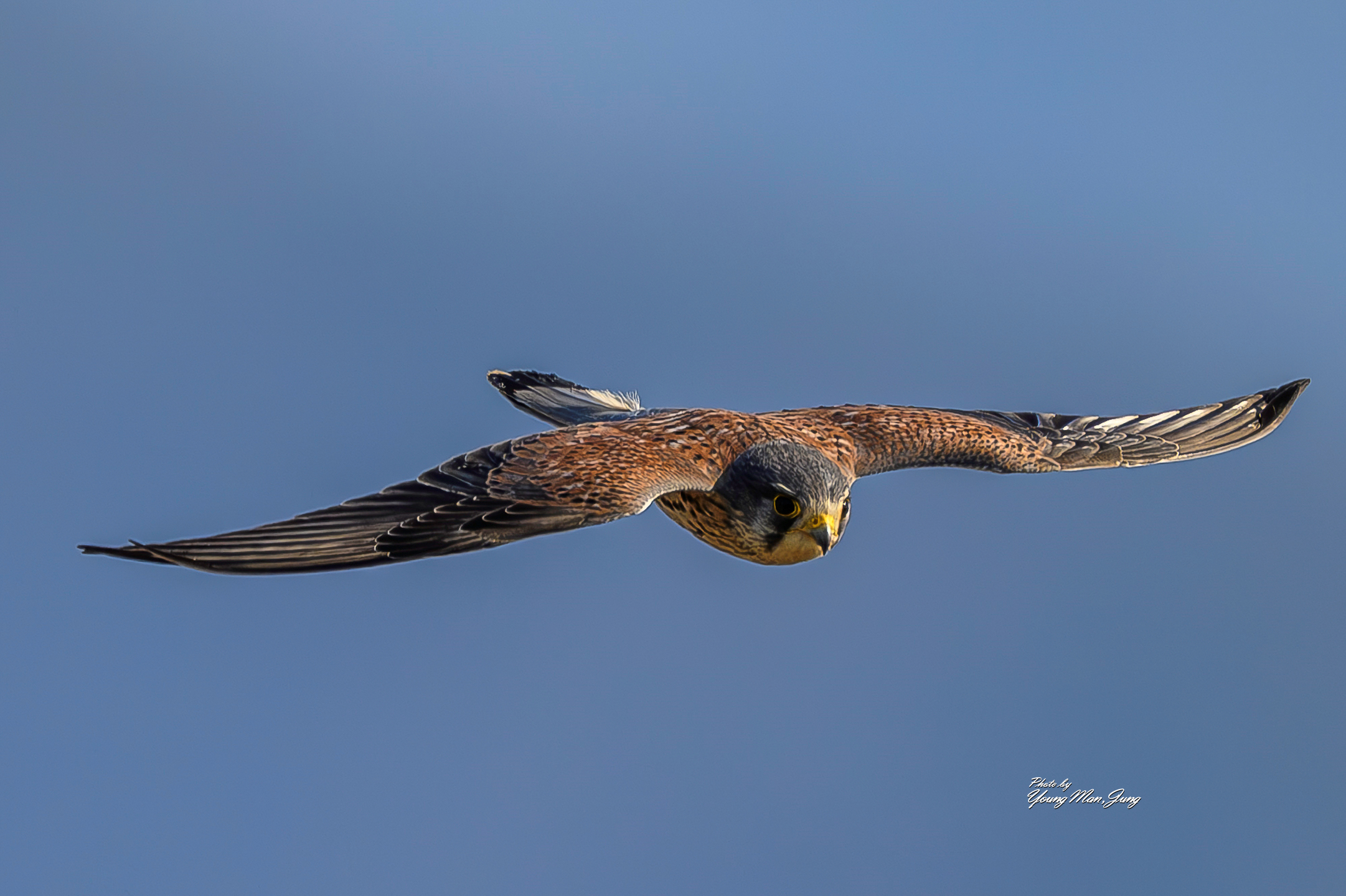   | PHOTO BY : 카파/정영만  |