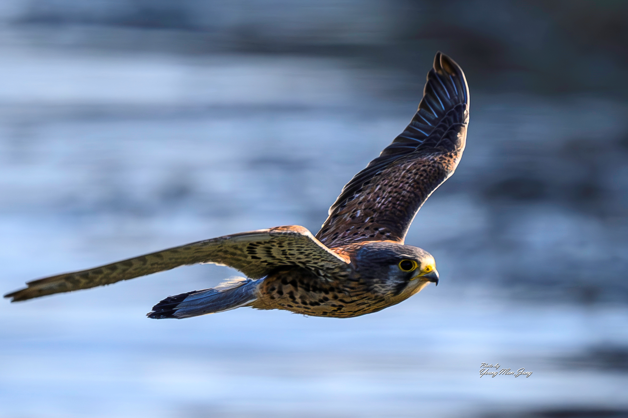   | PHOTO BY : 카파/정영만  |