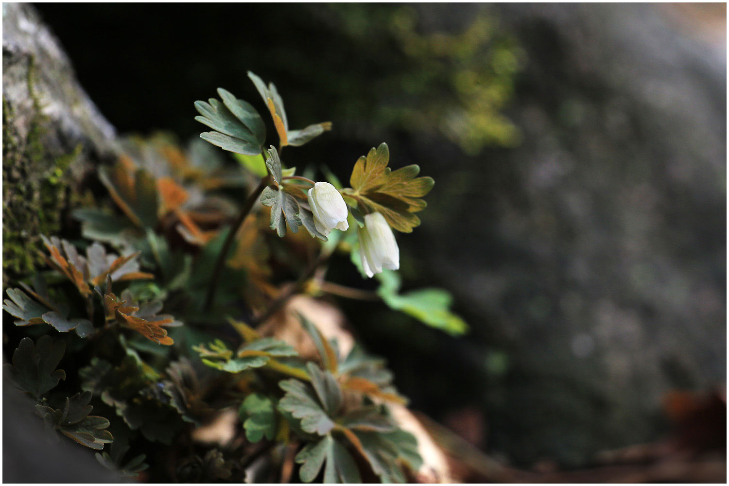   | PHOTO BY : 몰운대/조태열  |