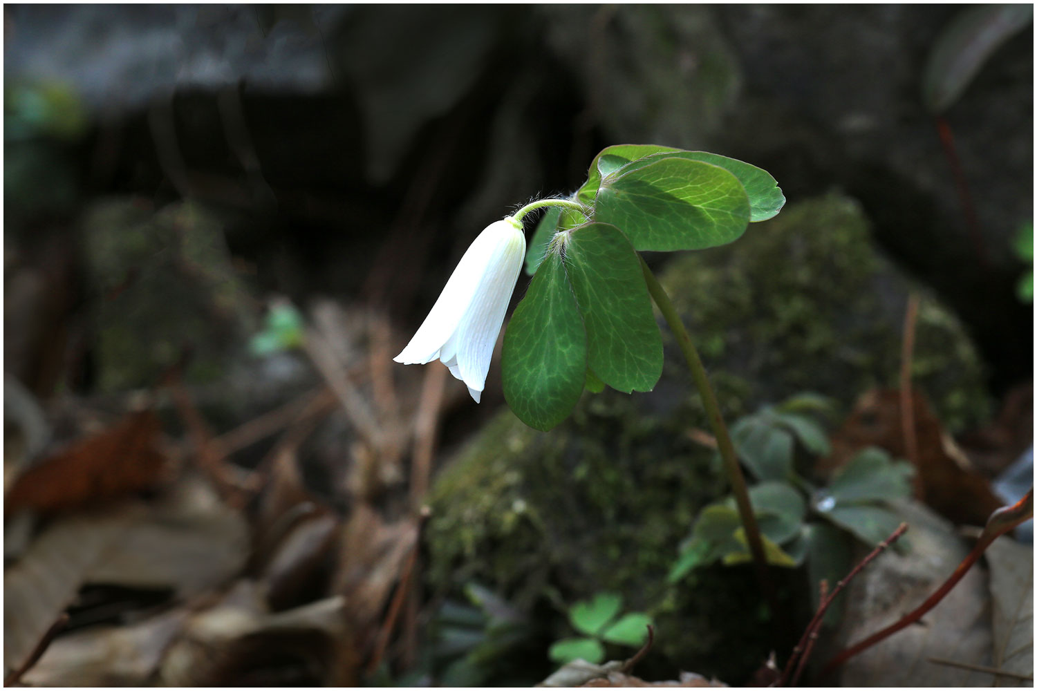   | PHOTO BY : 몰운대/조태열  |