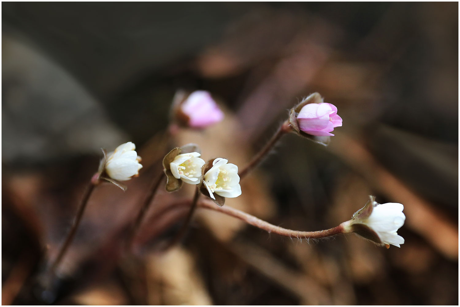   | PHOTO BY : 몰운대/조태열  |