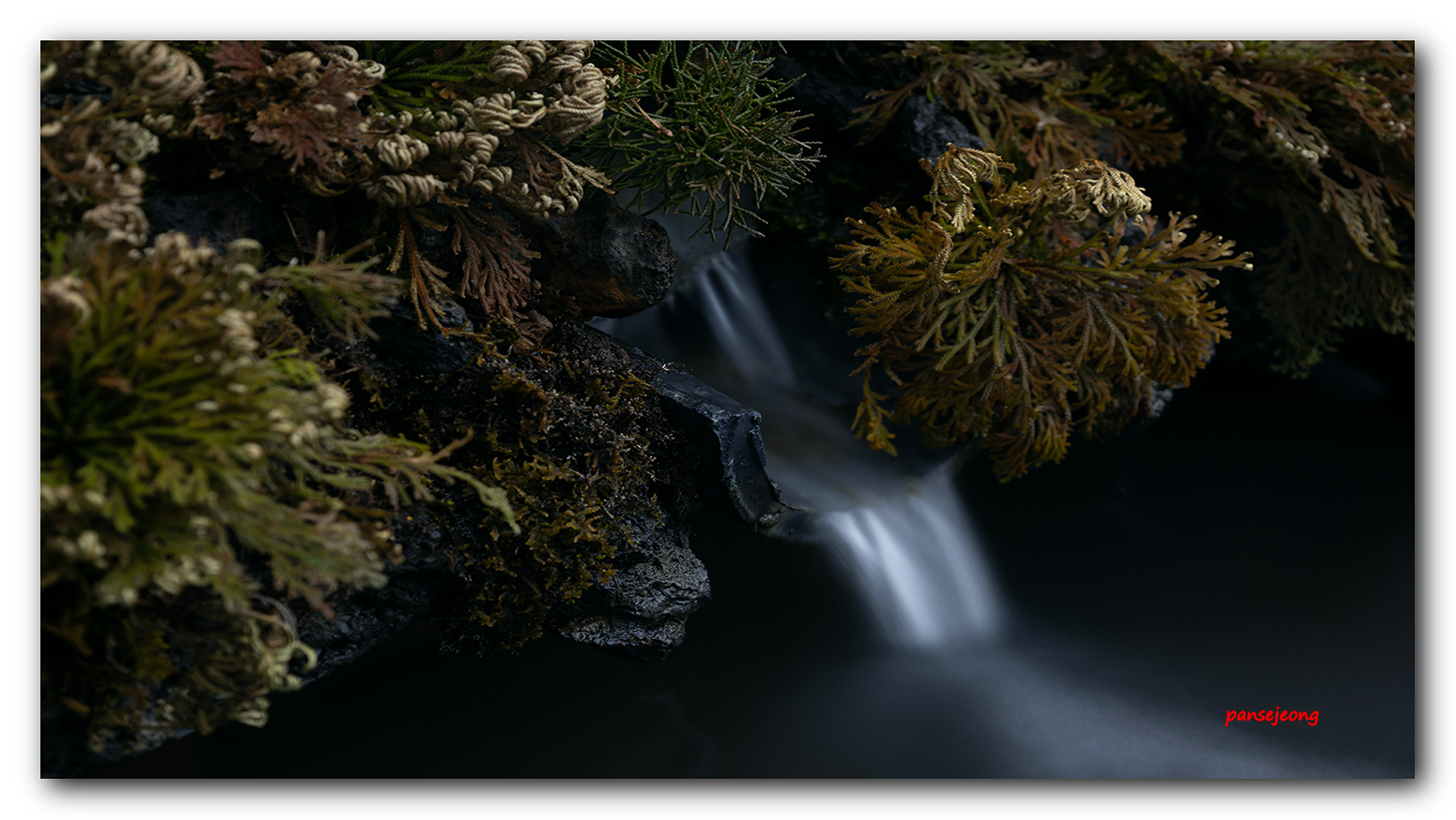 PHOTO BY jps | Canon EOS R6 | 2024:03:12 14:31:49 | ISO-100 | 15/1 sec | f 7.1 | 70 mm | EV=0 | ● WIDTH:1600 pixels  HEIGHT:901 pixels