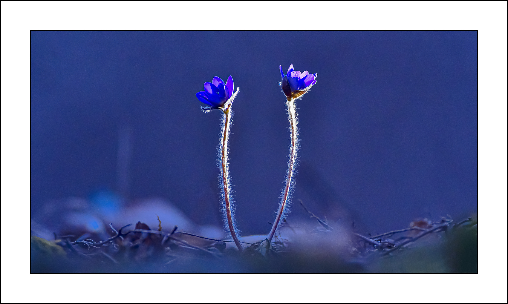   | PHOTO BY : 삿갓/정봉식  |