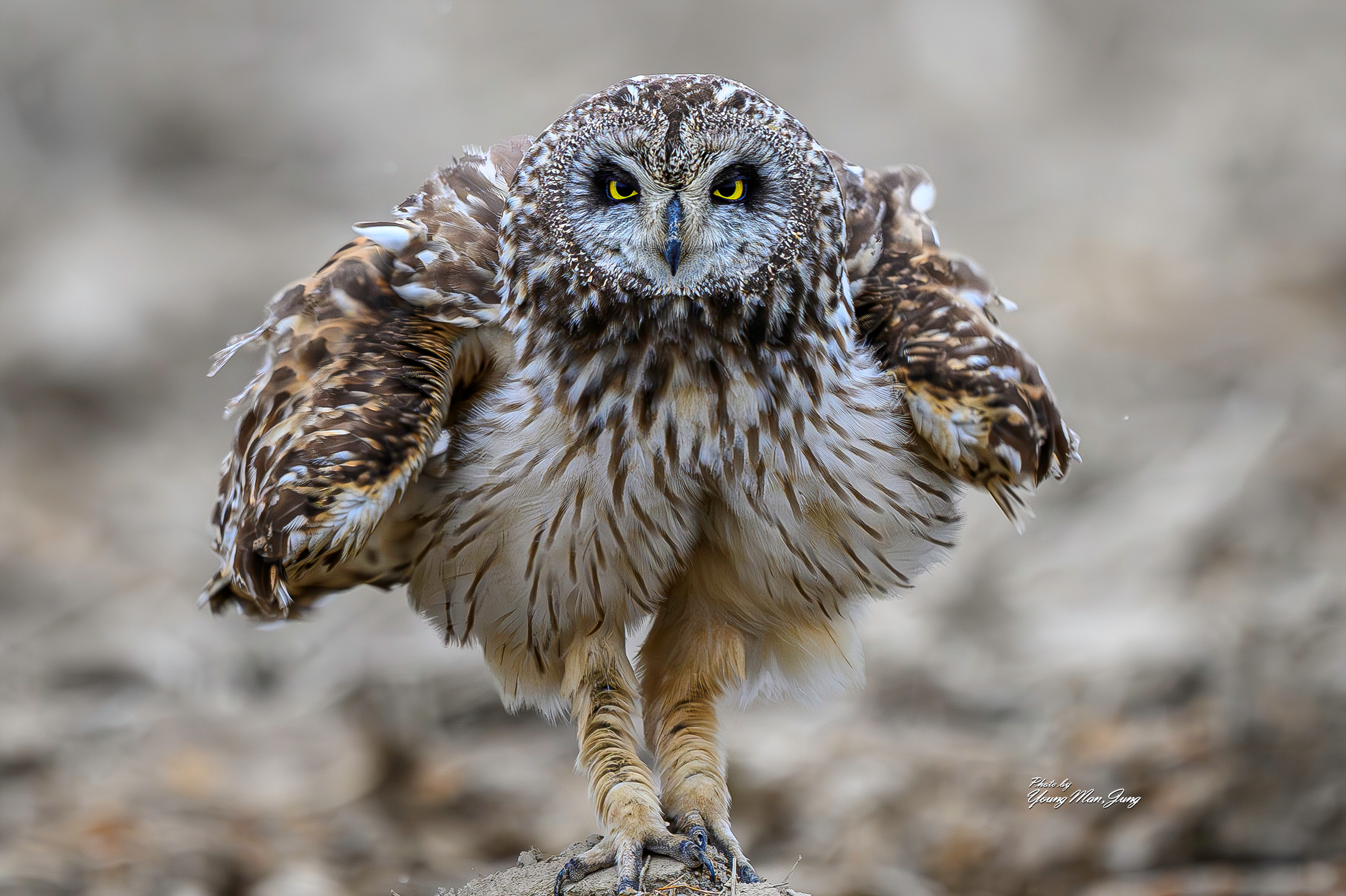 | PHOTO BY : 카파/정영만  |