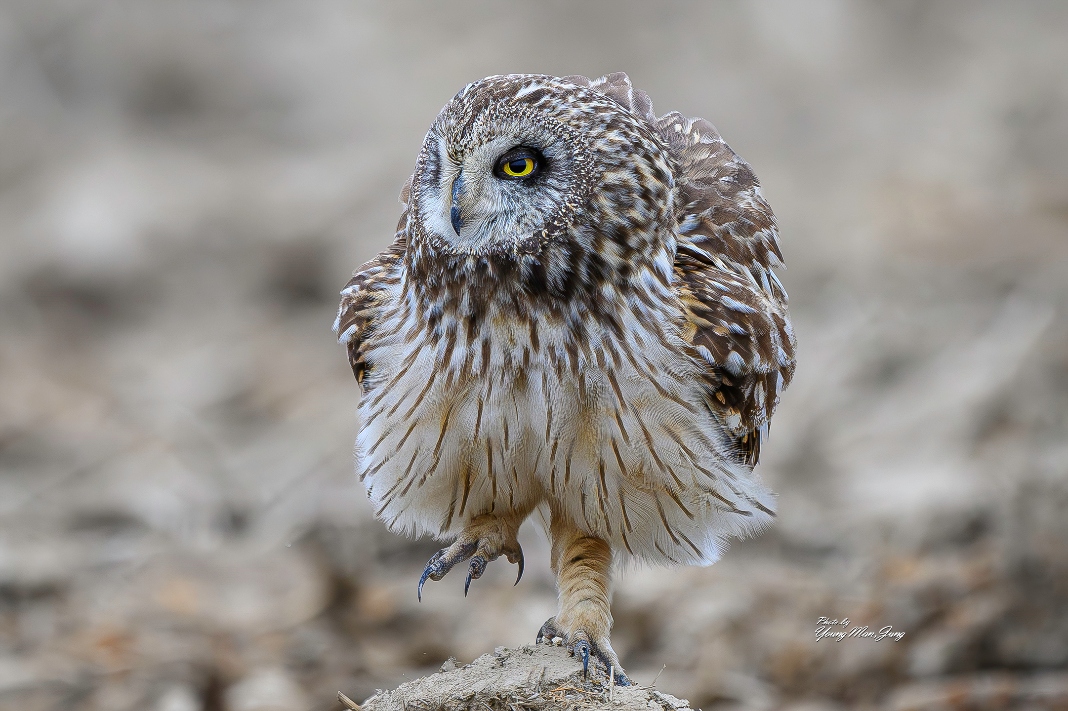 | PHOTO BY : 카파/정영만  |