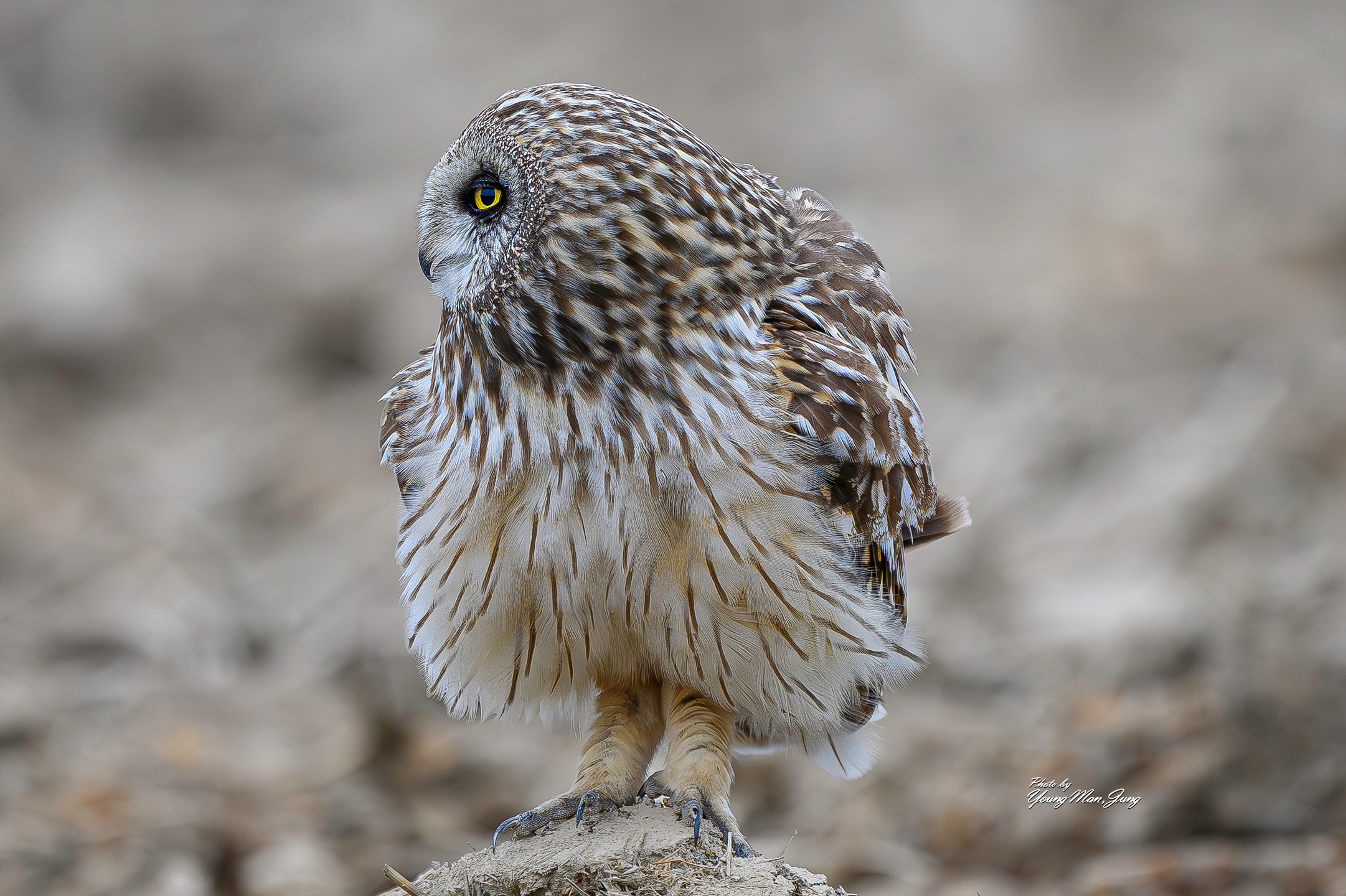 | PHOTO BY : 카파/정영만  |