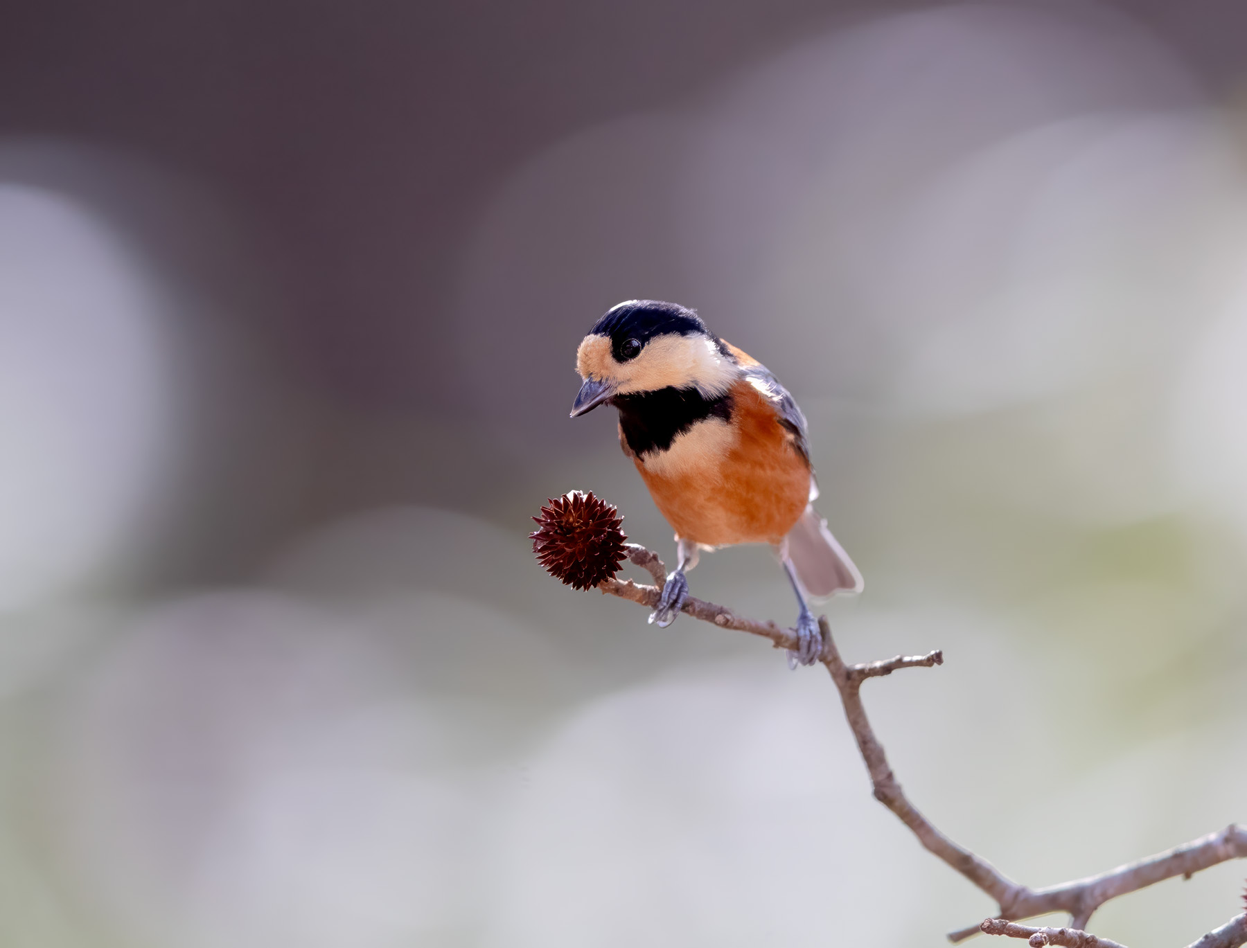 | PHOTO BY : 발전 박용식  |