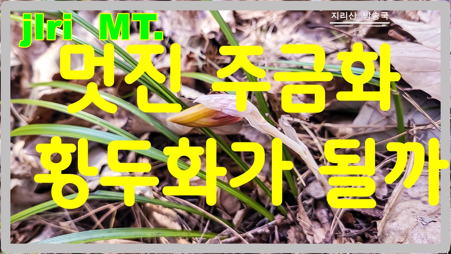 PHOTO BY  | SM-N981N | 2024:03:10 13:24:16 | ISO-125 | 1/120 sec | f 1.8 | 5.4 mm | EV=0 | ● WIDTH:1500 pixels  HEIGHT:844 pixels