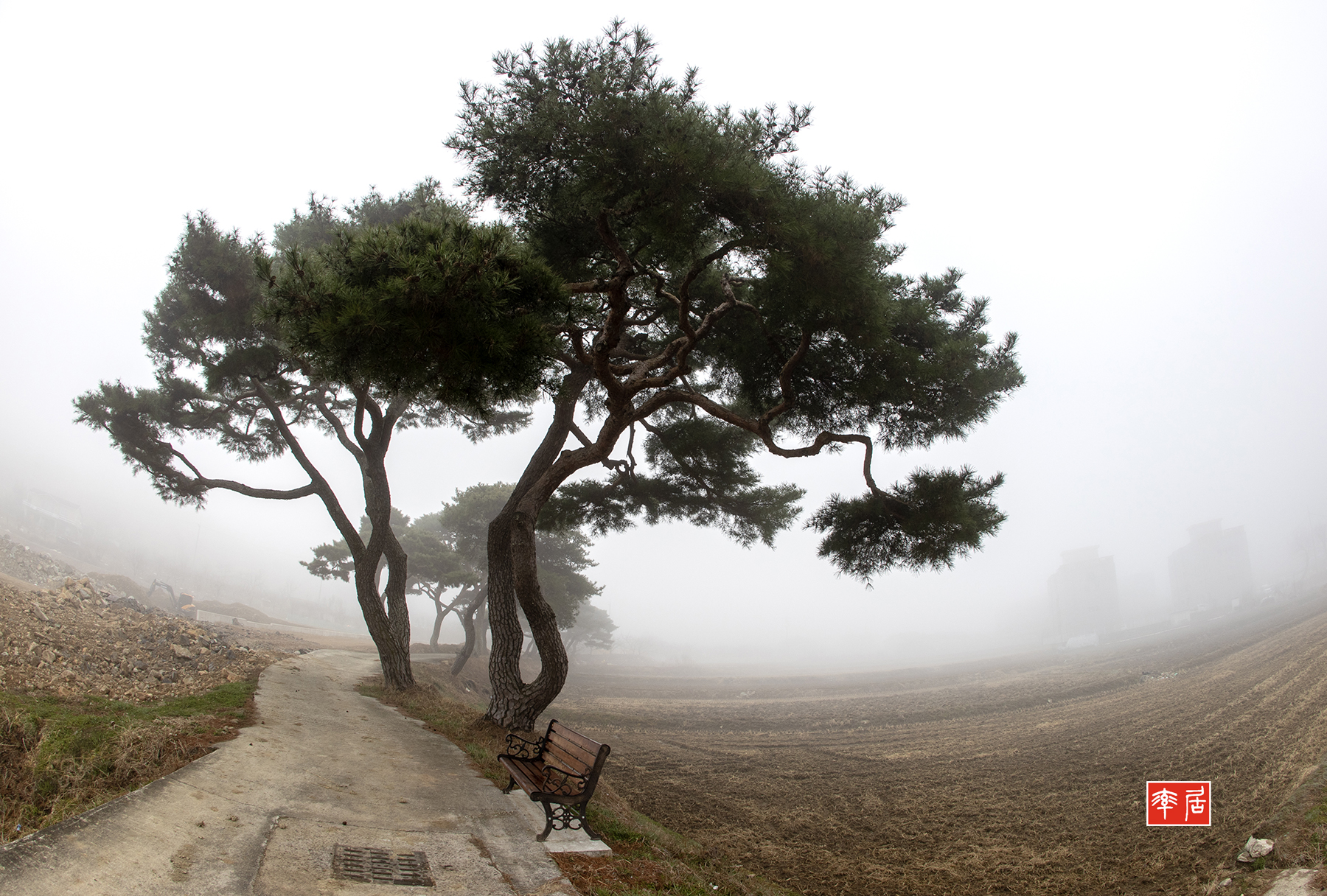 PHOTO BY changickheun | Canon EOS-1D X Mark III | 2024:03:13 08:38:03 | ISO-200 | 1/200 sec | f 8 | 15 mm | EV=0 | ● WIDTH:1800 pixels  HEIGHT:1216 pixels