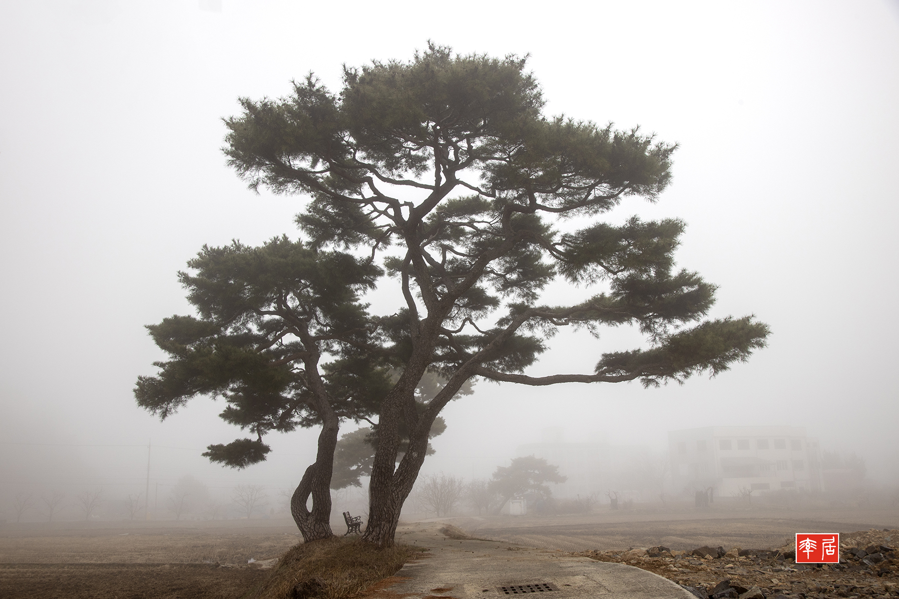 PHOTO BY changickheun | Canon EOS-1D X Mark III | 2024:03:13 08:01:21 | ISO-200 | 1/160 sec | f 7.1 | 32 mm | EV=0 | ● WIDTH:1800 pixels  HEIGHT:1200 pixels