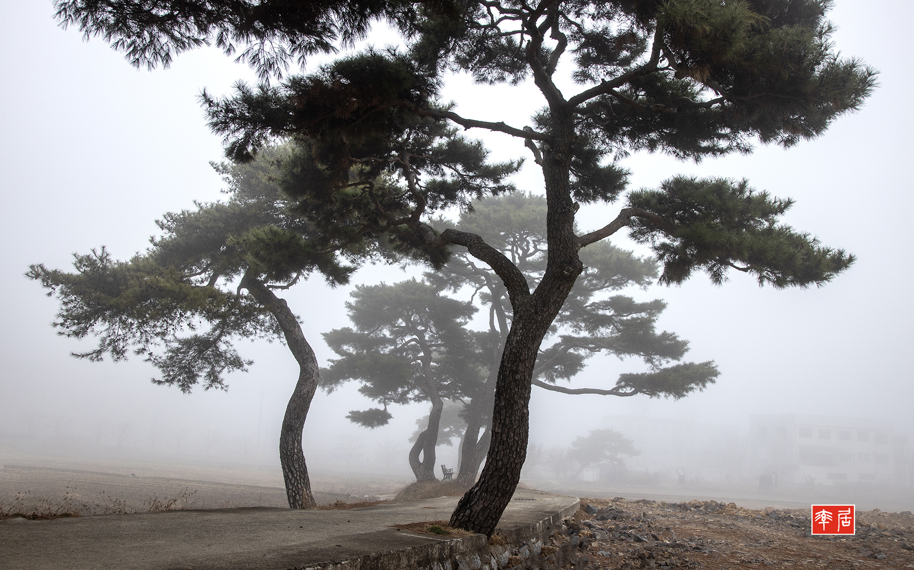 PHOTO BY changickheun | Canon EOS-1D X Mark III | 2024:03:13 08:20:34 | ISO-200 | 1/200 sec | f 8 | 32 mm | EV=0 | ● WIDTH:1800 pixels  HEIGHT:1122 pixels