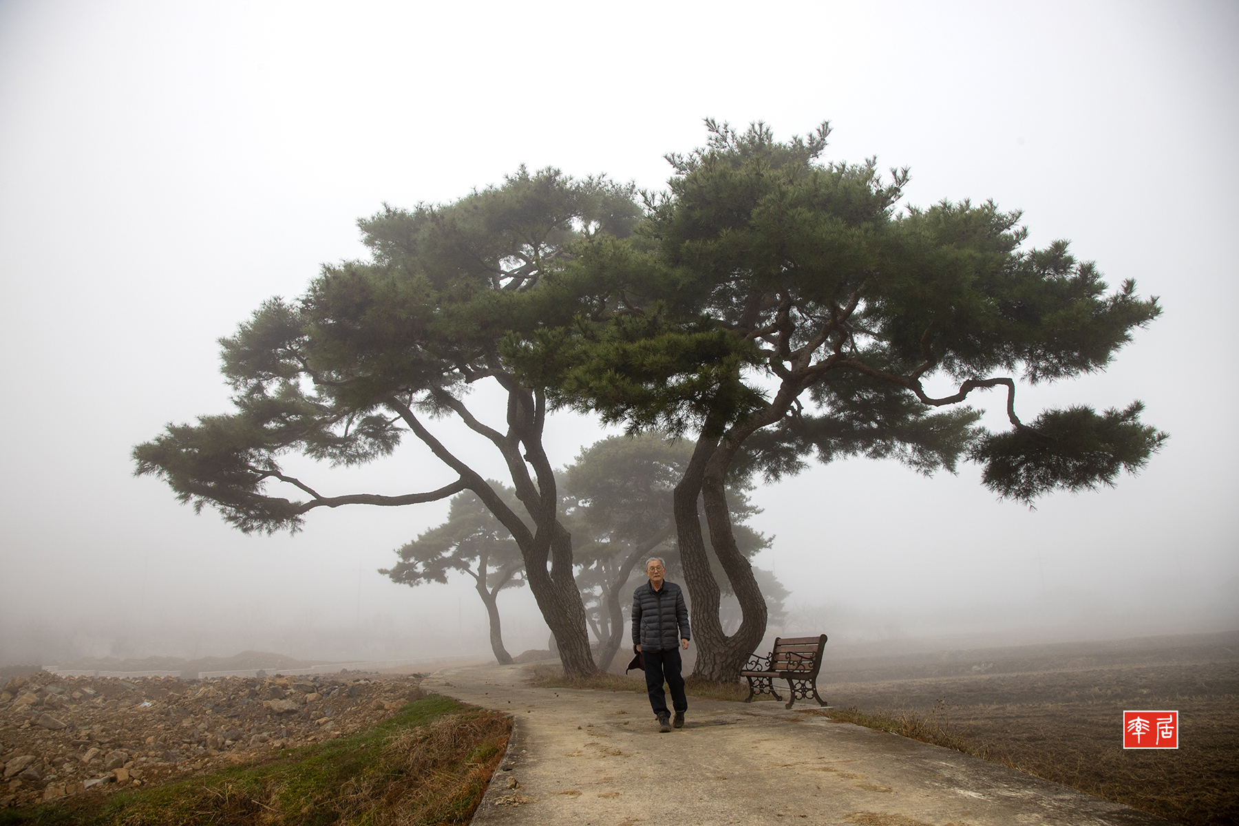 PHOTO BY changickheun | Canon EOS-1D X Mark III | 2024:03:13 07:57:38 | ISO-200 | 1/160 sec | f 7.1 | 24 mm | EV=0 | ● WIDTH:1800 pixels  HEIGHT:1200 pixels