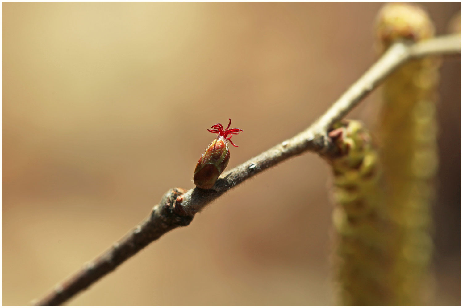   | PHOTO BY : 몰운대/조태열  |