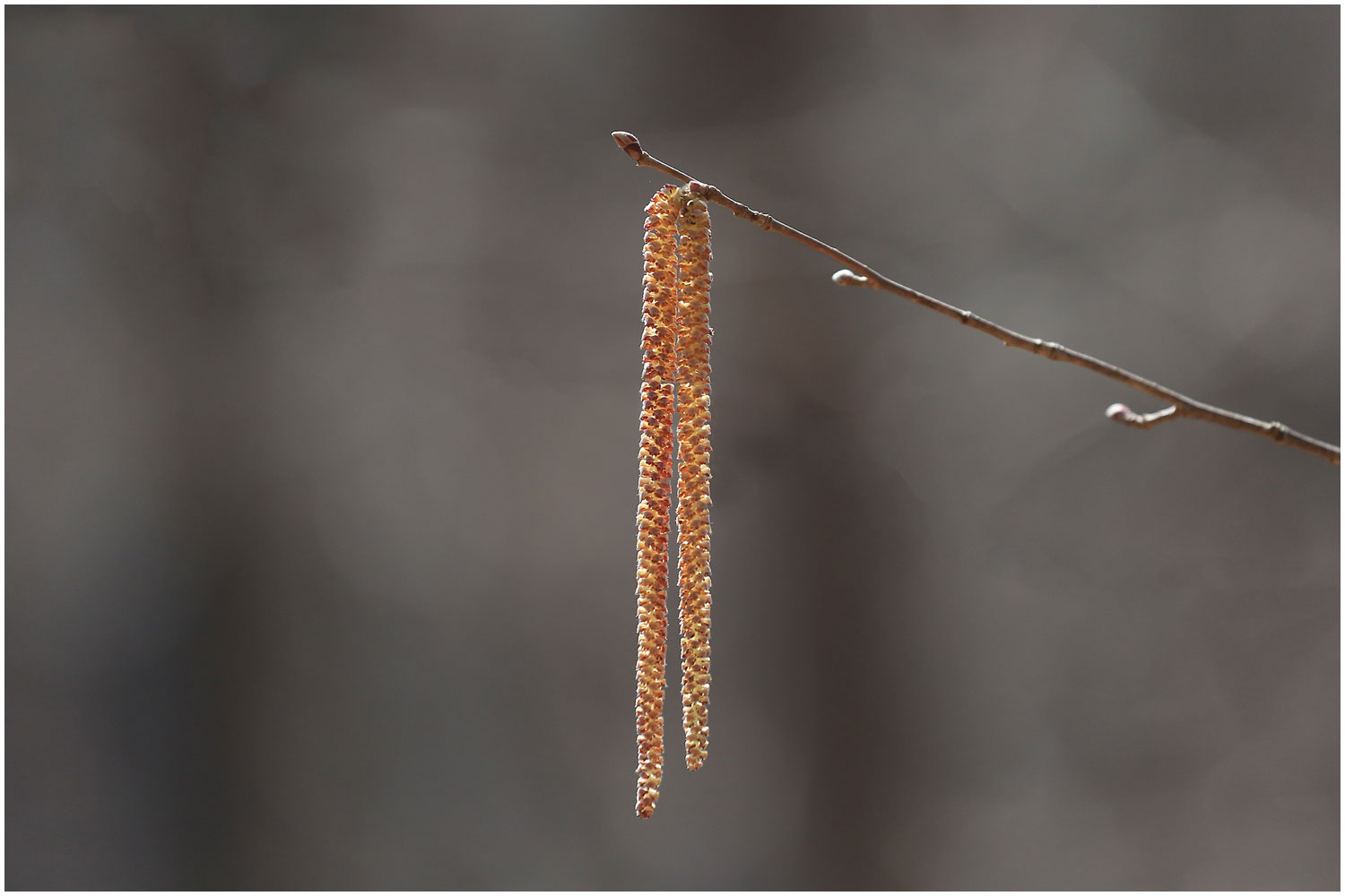   | PHOTO BY : 몰운대/조태열  |