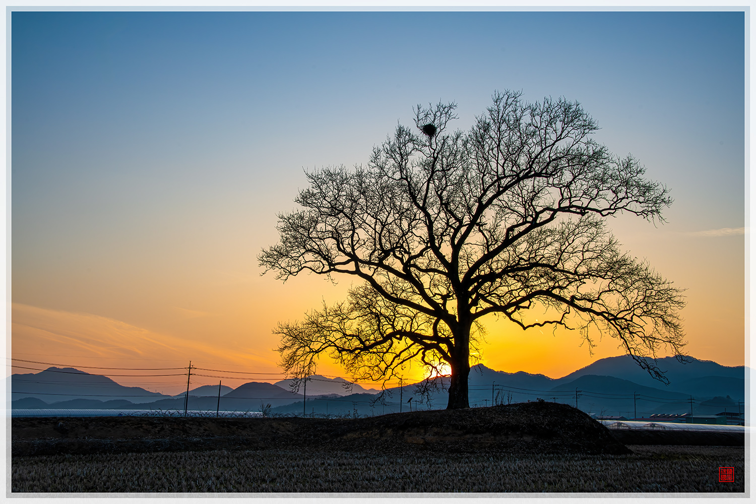 PHOTO BY  | NIKON D850 | 2024:03:13 18:03:56 | ISO-100 | 1/80 sec | f 13 | 44 mm | EV=0.7 | ● WIDTH:1500 pixels  HEIGHT:1000 pixels