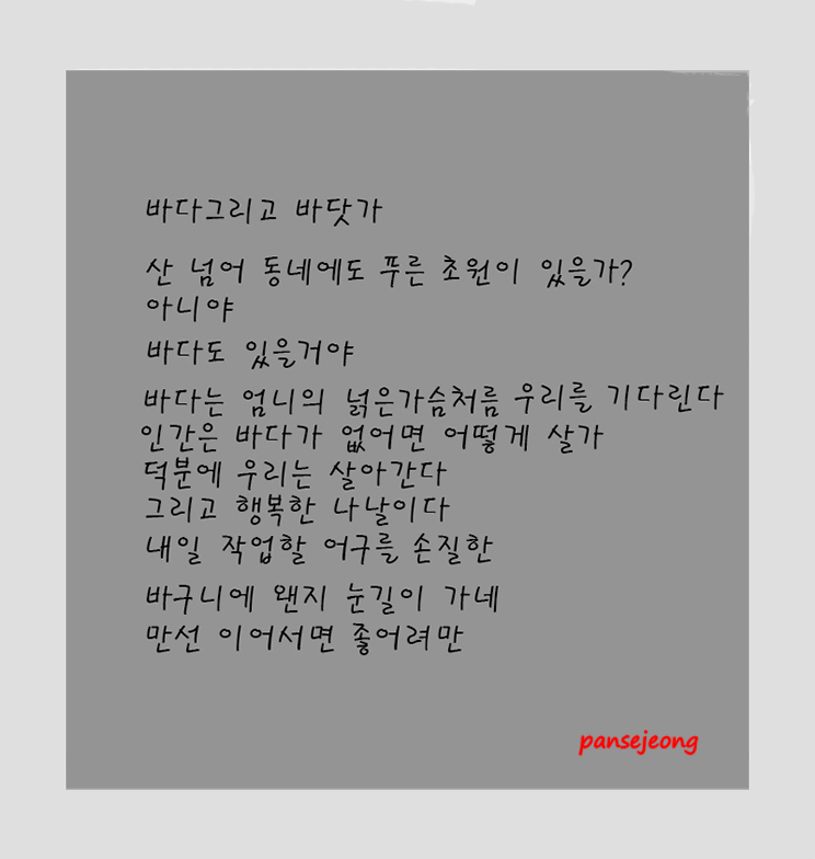   | PHOTO BY : 초원/丁判世  |