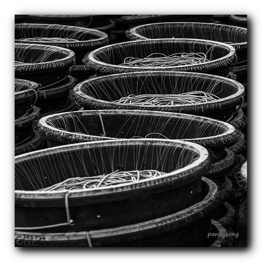 PHOTO BY jps | Canon EOS R6 | 2024:03:07 10:18:34 | ISO-100 | 1/160 sec | f 7.1 | 105 mm | EV=0 | ● WIDTH:840 pixels  HEIGHT:840 pixels