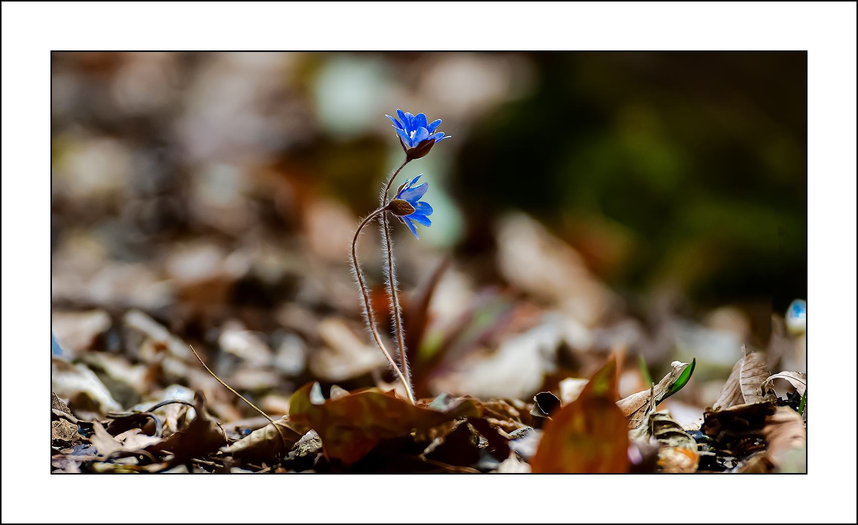   | PHOTO BY : 삿갓/정봉식  |