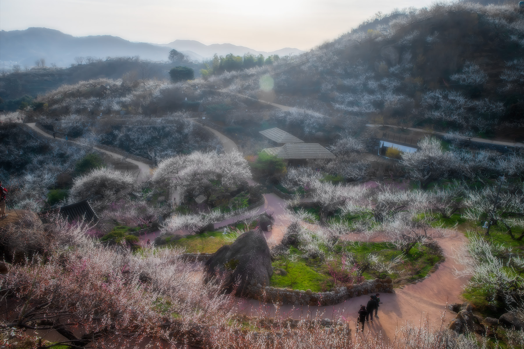 | PHOTO BY : 발전 박용식  |